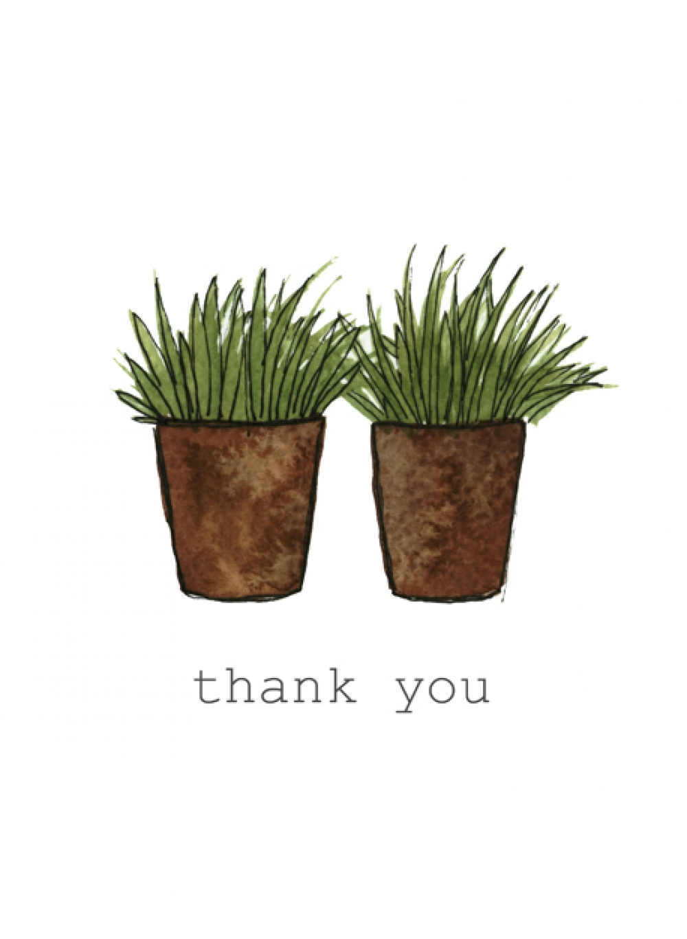 Thank you plants María José González