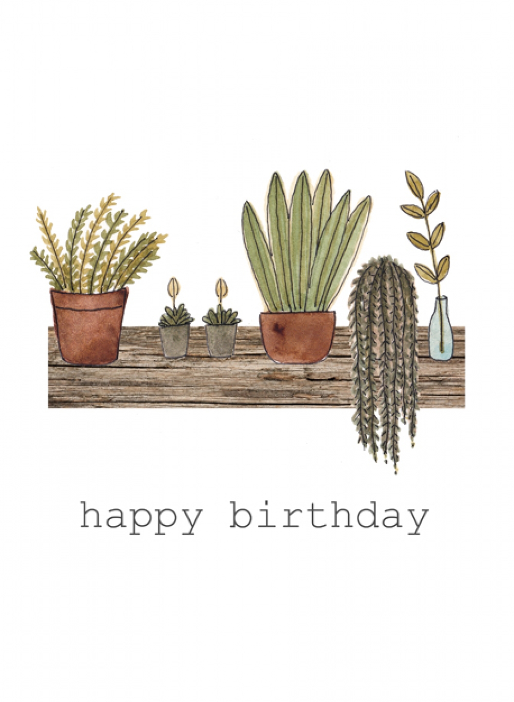 Birthday plants LOW STOCK María José González Birthday plants LOW STOCK María José González