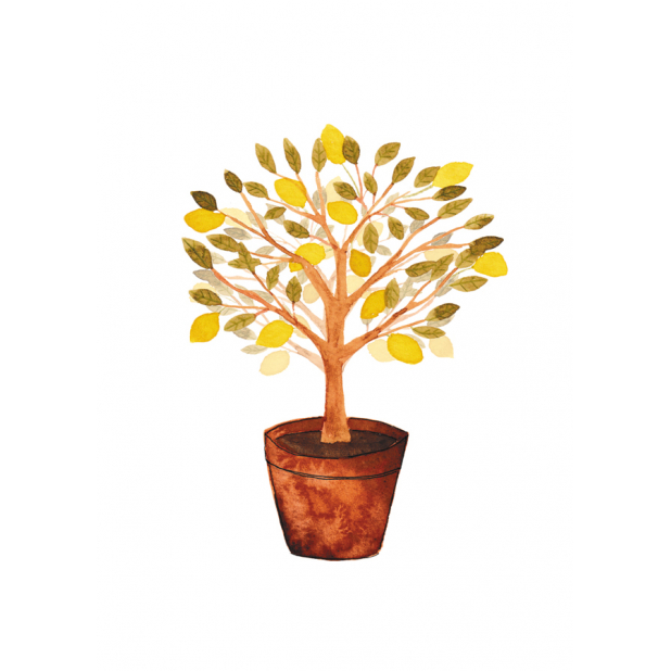 lemon tree, lemons, no text card, no text, botanical, botanical illustration