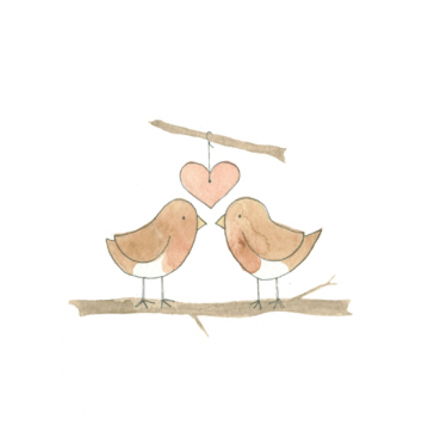 Birds Love