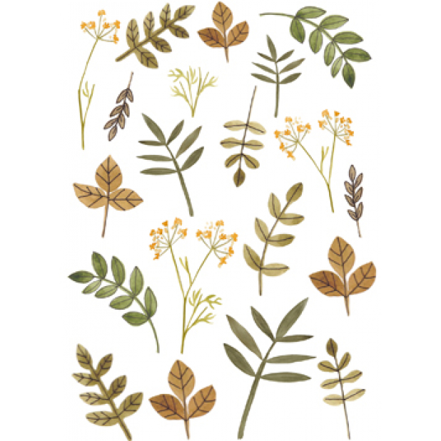 Botanical