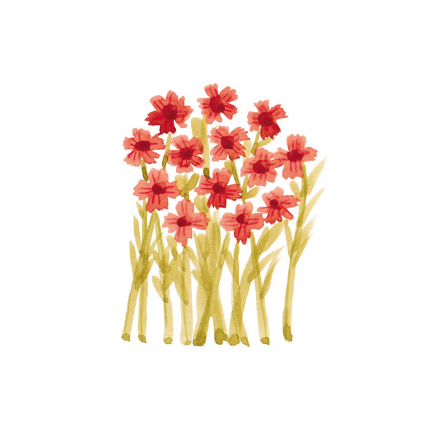 red flowers, flowers, no text card, no text, botanical, botanical illustration