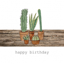 Birthday cactus