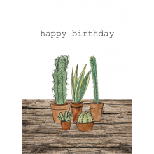 Cactus happy birthday