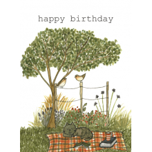 Happy Birthday picnic