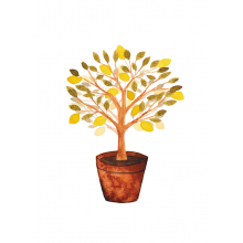 lemon tree, lemons, no text card, no text, botanical, botanical illustration