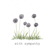 Sympathy Sympathy Blue Flowers